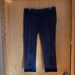 Banana Republic Navy Blue City Chino Pants